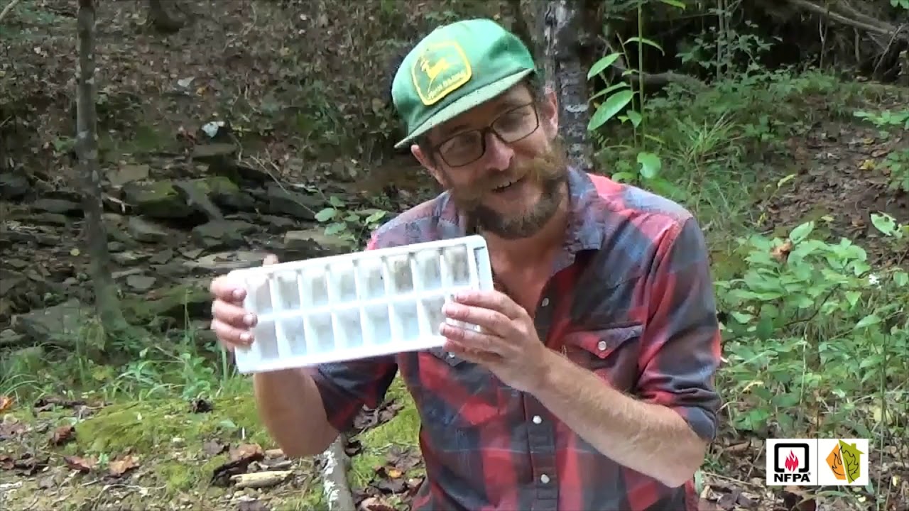 What's in the Water?