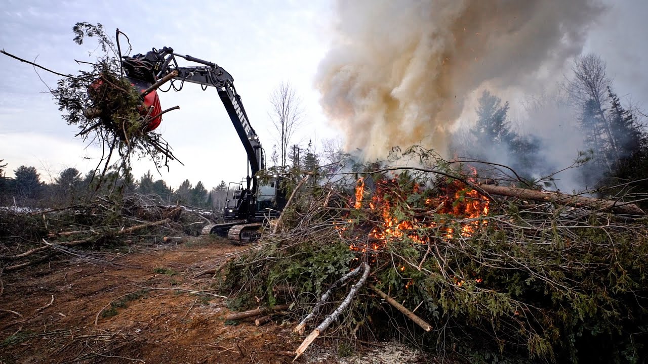 The First Stages of Building a Subdivision (Land Clearing with Excavator and Skid Steer)
