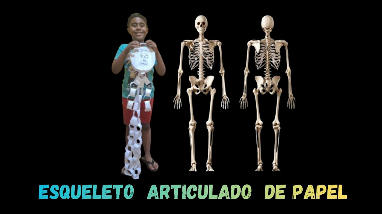 Esqueleto articulado de papel 