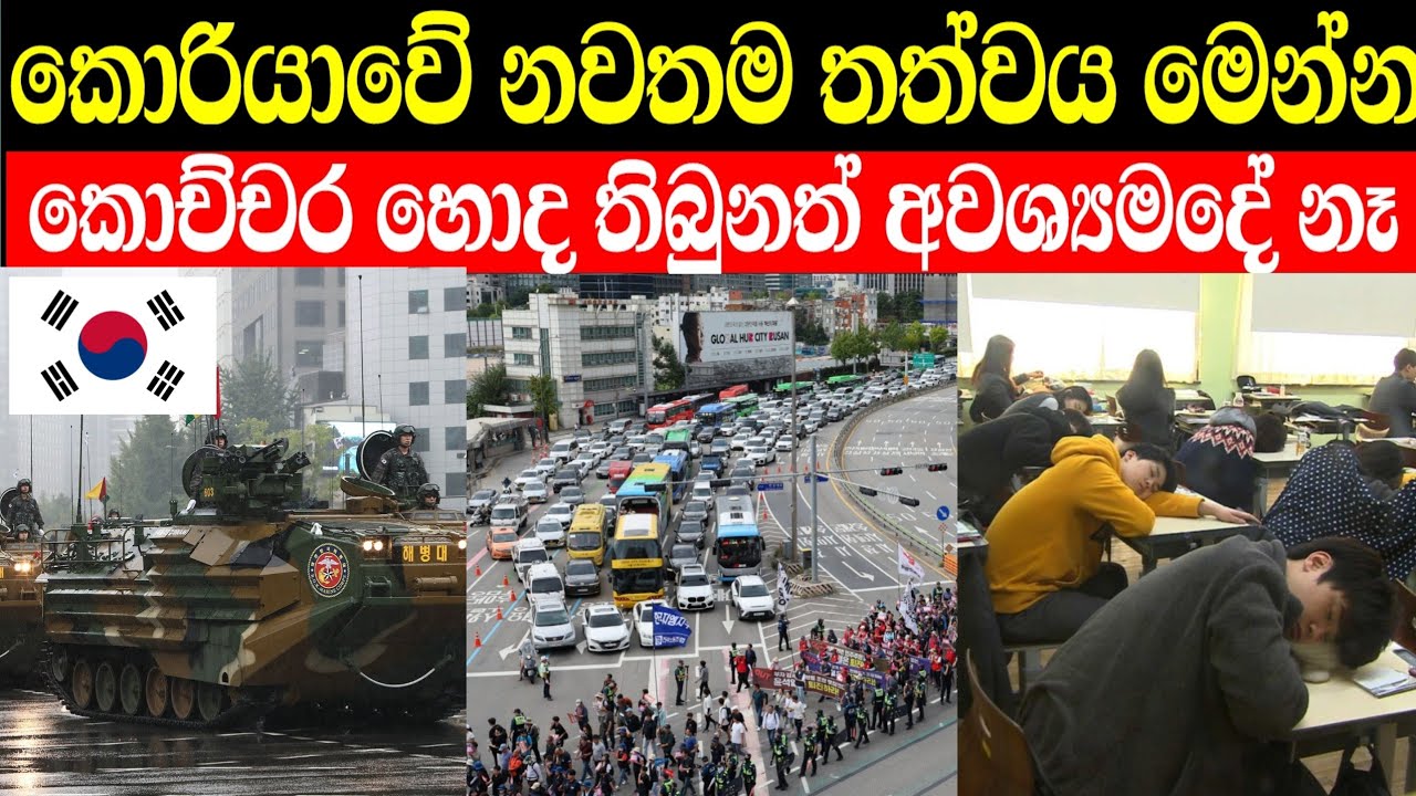 දකුණු කොරියාවට මොකද වෙන්නේ | south korea in sinhala 2024