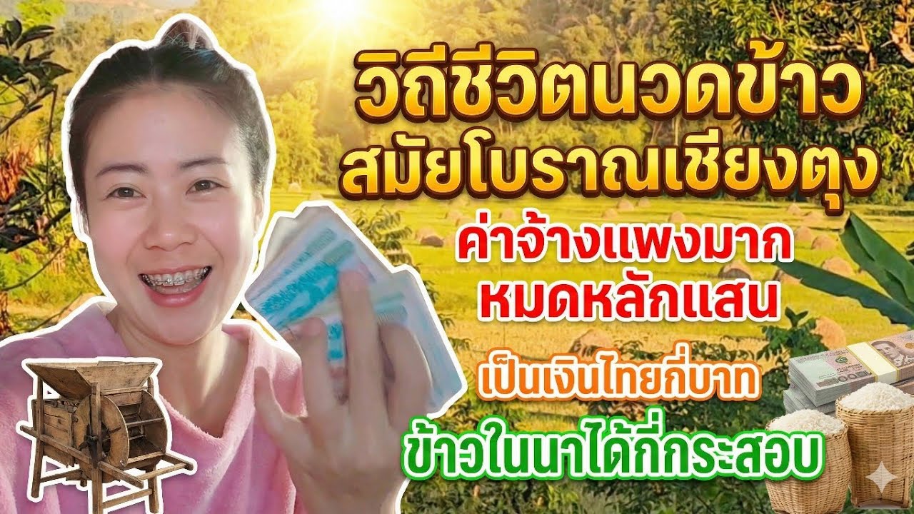 วิถีชีวิตการนวดข้าว สมัยโบราณเชียงตุง ค่าจ้างแพงมากหมดลักแสน เป็นเงินไทยกีบาท🇹🇭 ข้าวในนาได้กีกระสอบ