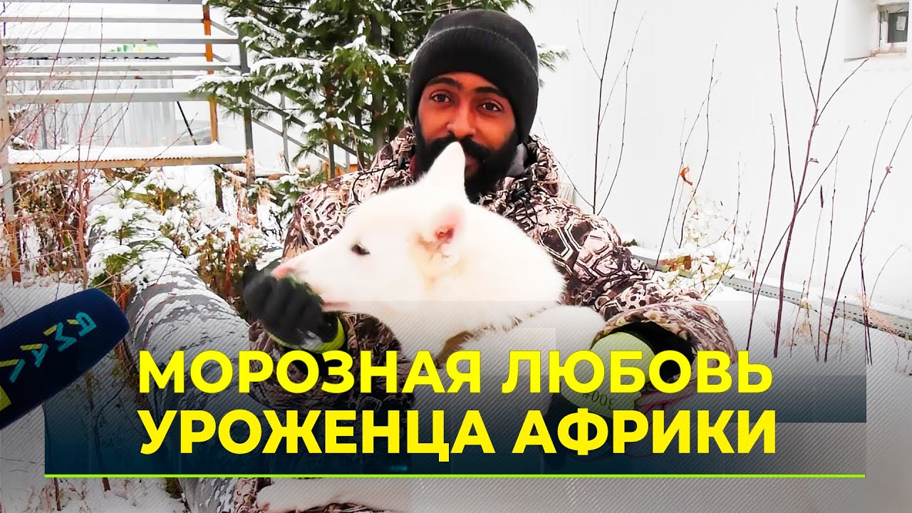 Африканец из Туниса переехал жить на Ямал за своей любимой