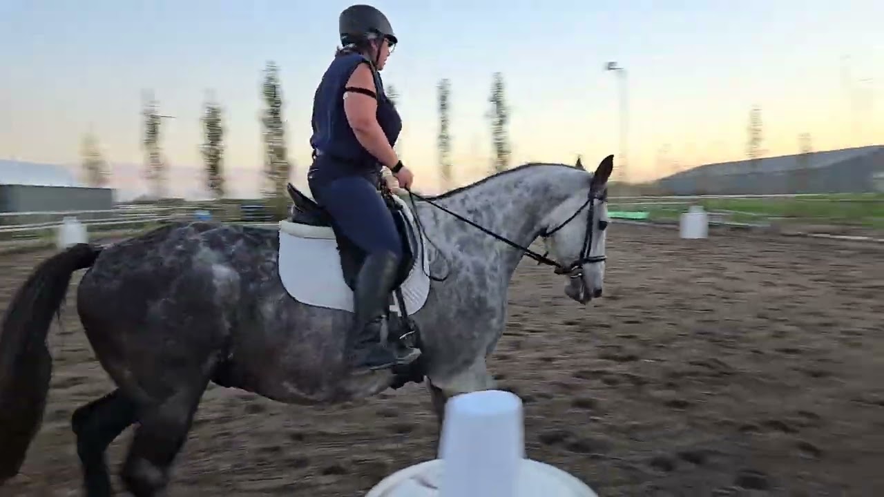 Kick Cancer Dressage Fall 2025 - Kris Bhattacharya and Cestus Sea Intro Test A