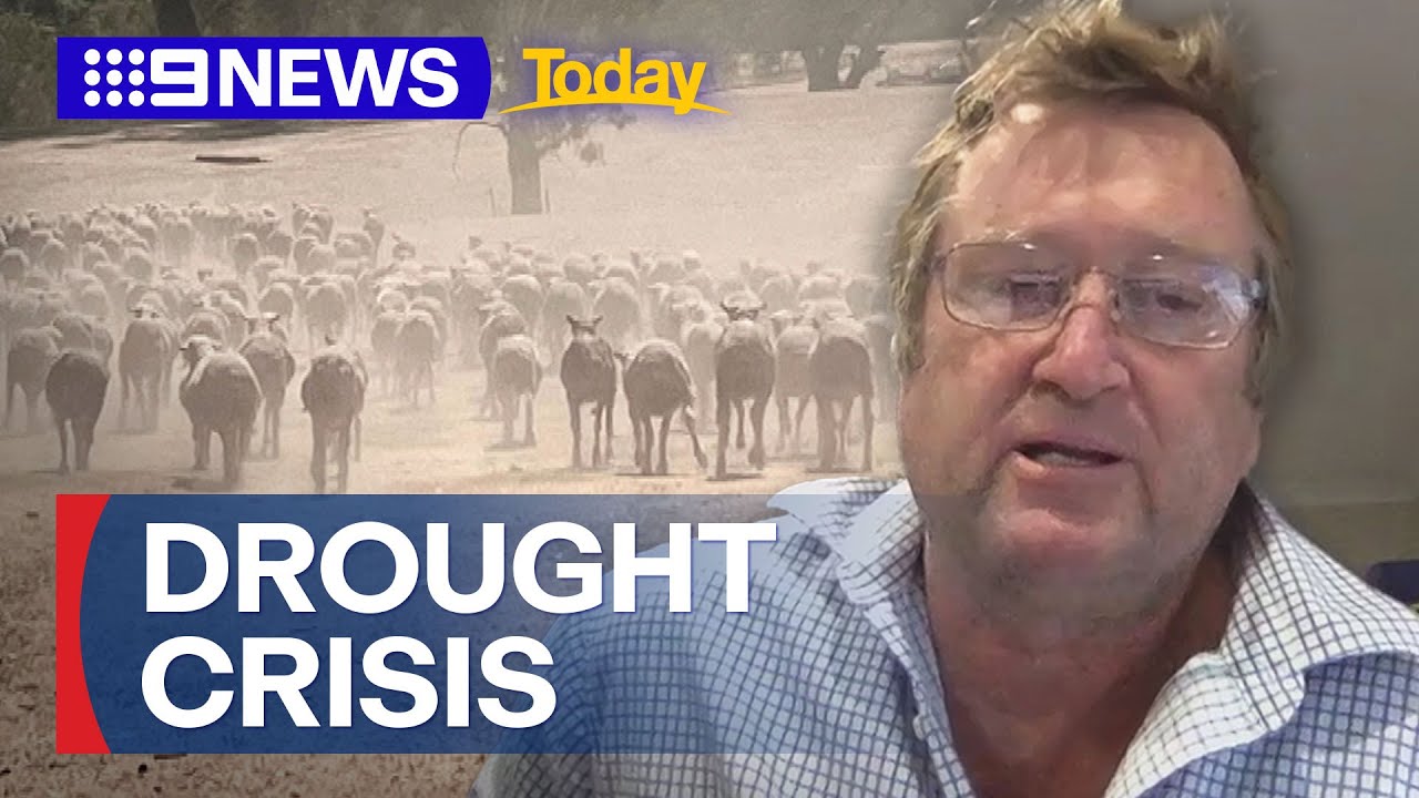 Victorian farmers under pressure as severe drought hits region | 9 News Australia
