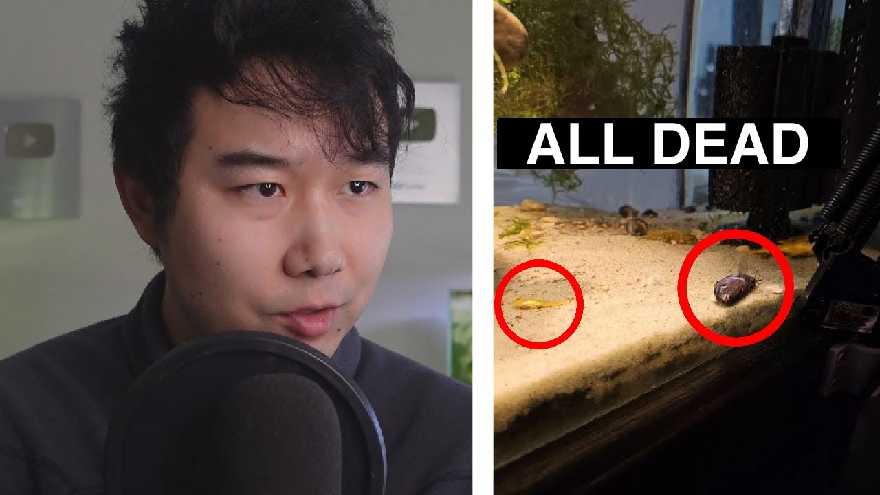 broke up with girlfriend and she did THIS | Fish Tank Review 239