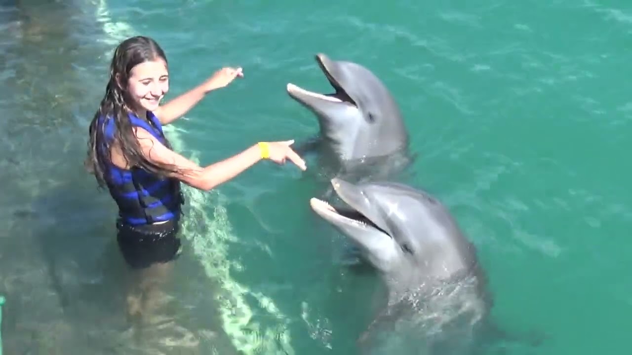 Dolphin Explorer Punta Cana 23 Apr 2022