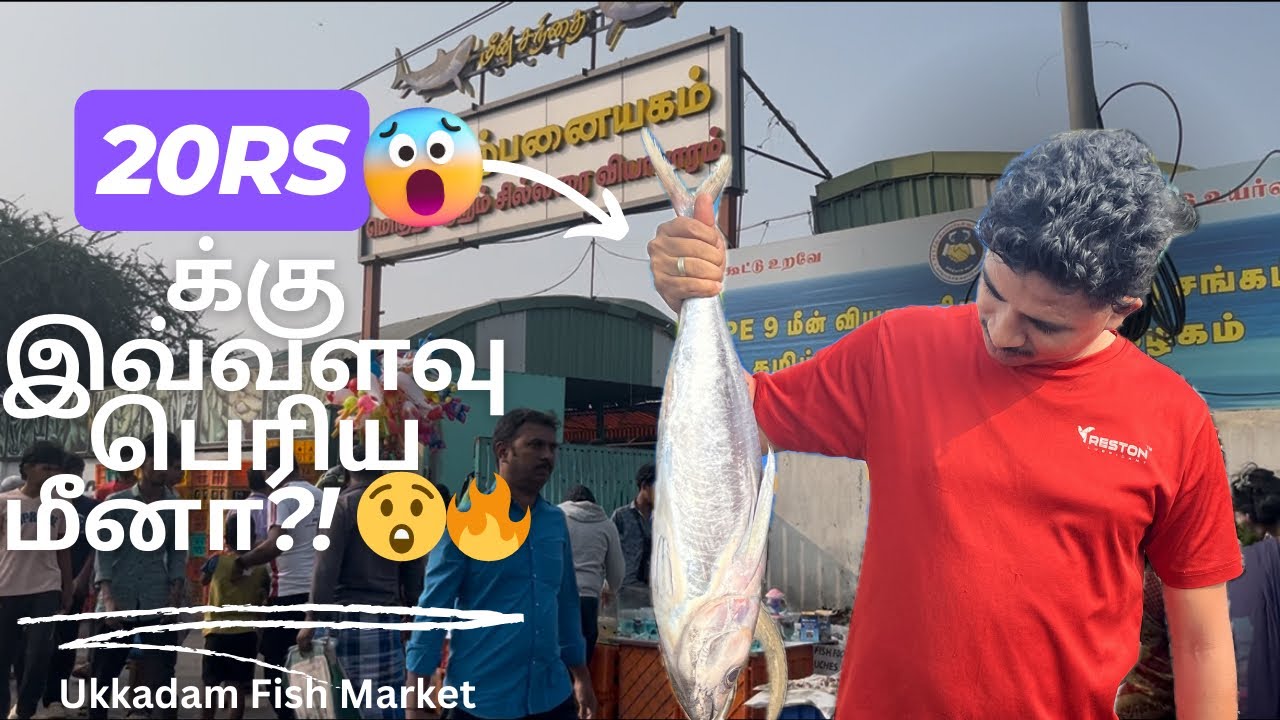 ₹20 தானா? 😱 இவ்வளவு பெரிய மீன்! | Ukkadam Fish Market Coimbatore  #fish #ukkadam #coimbatore 