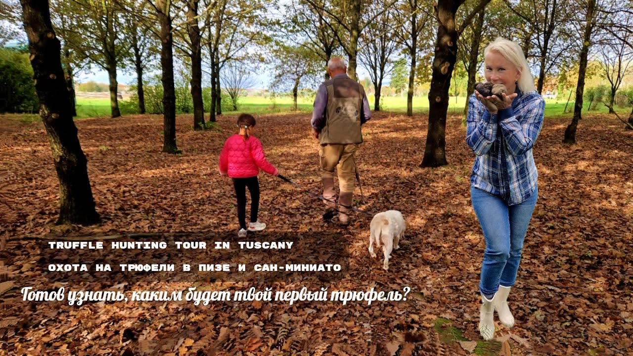 Truffle Hunting Tour in Tuscany | Охота на трюфели в Пизе и Сан Миниато