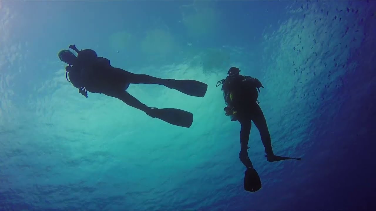 rEvo rebreather dives in Bonaire 2023