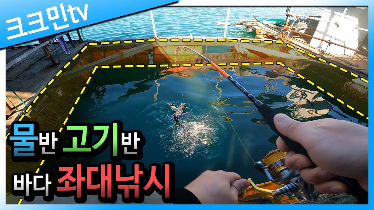 좌대낚시 채비, 미끼 다는 법부터 챔질 타이밍까지!(feat.닉스 팝 조이)