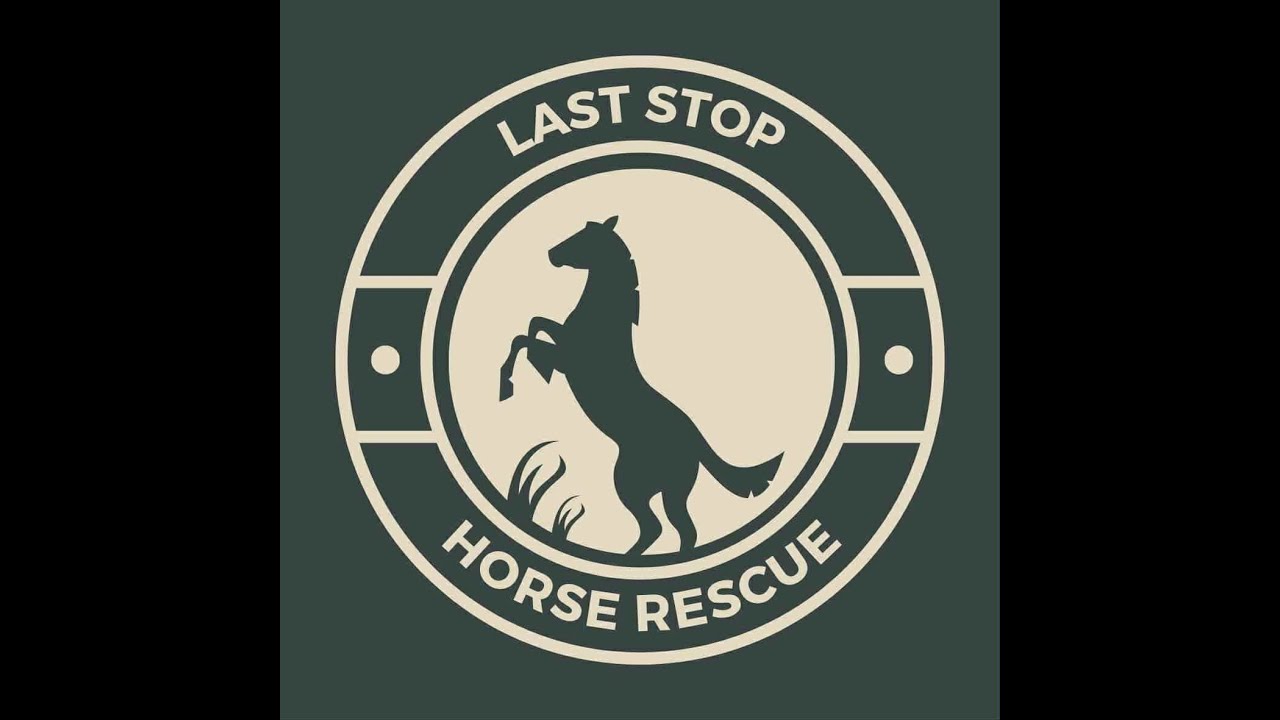 LAST STOP HORSE RESCUE  HIGHLIGHTS 2025