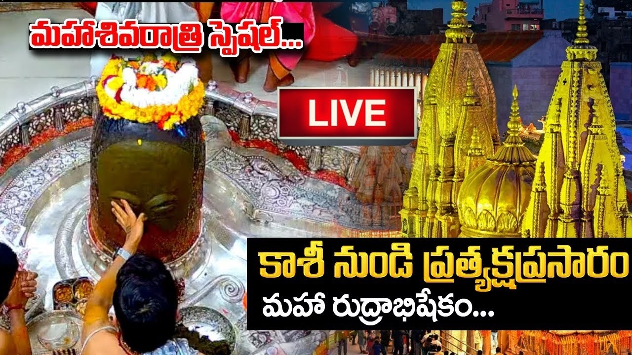 🔴LIVE : Kashi Vishwanath Live Darshan | Maha Shivarathri Special | 15-02-2026 | #shivaratri