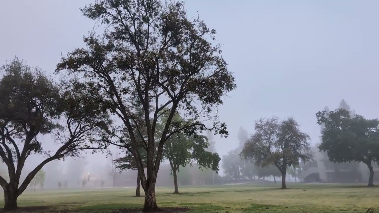 A light fog morning at college