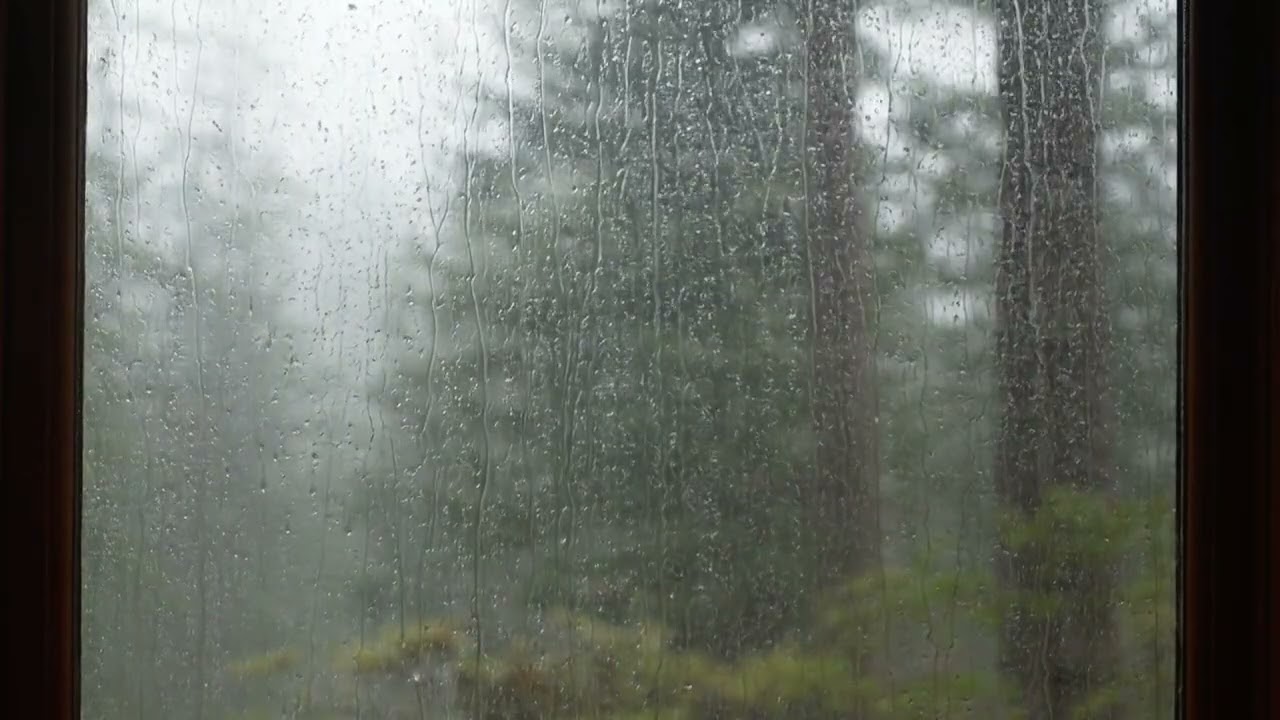 Cabin window view with rain and thunder for sleep and relaxing| Help for sleep and focus