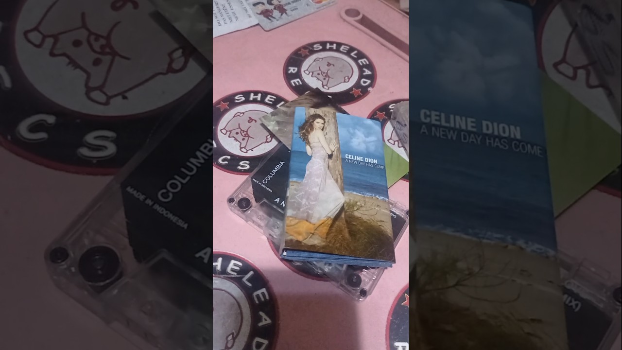 Celine Dion - A New Day Has Come #analog #nostalgia #canada #pop #popmusic #popularsong