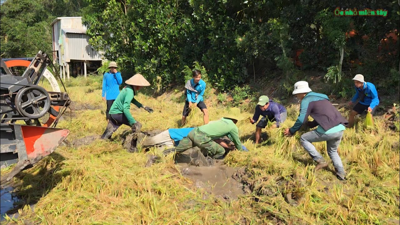 Bắt Chuột Dí Cù Đông Chưa Từng Có...Một Ngày Đi Săn Ăn Uống Tại Đồng| ONMT #Tập 156