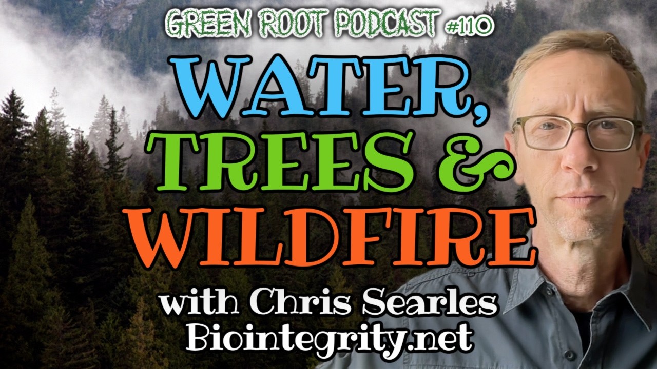 Water, Trees, and Wildfire