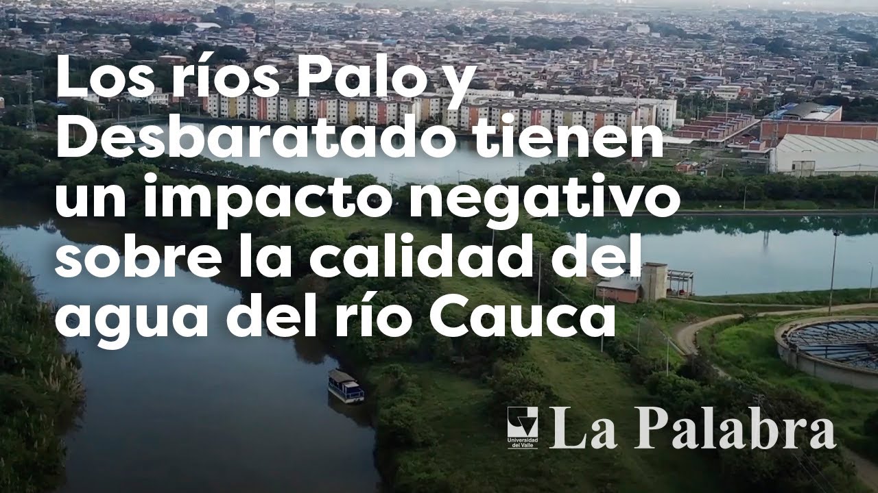 Problemáticas ambientales entre los ríos Palo, Desbaratado y Cauca