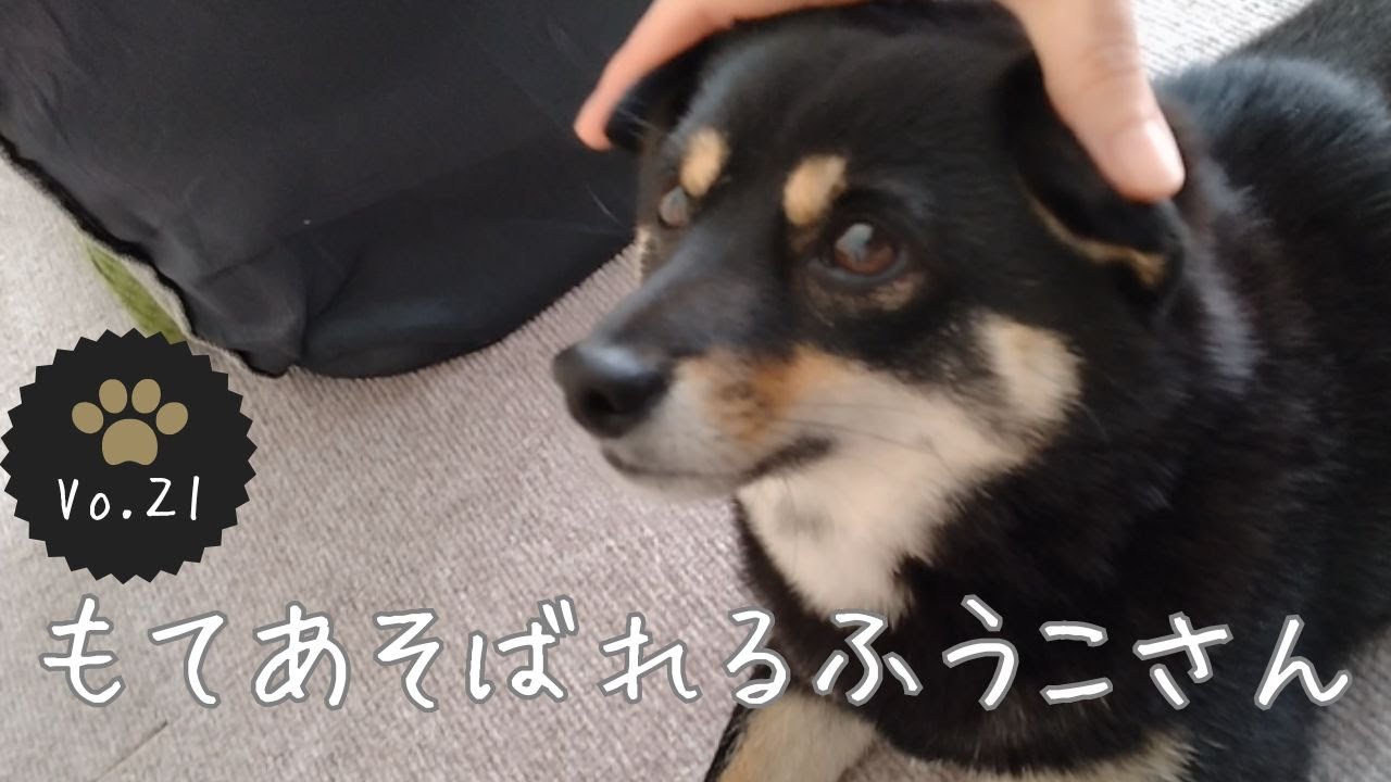もてあそばれたふうこさん