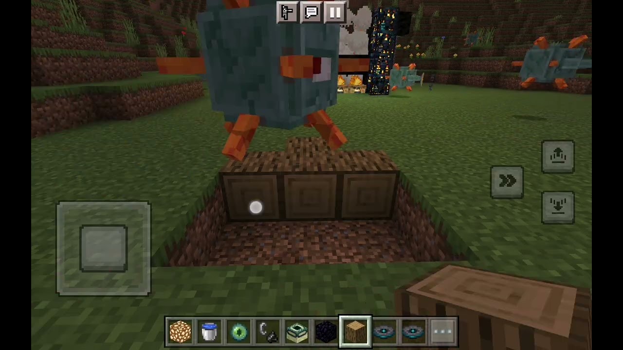 🐏🐏🐏🐏🐏