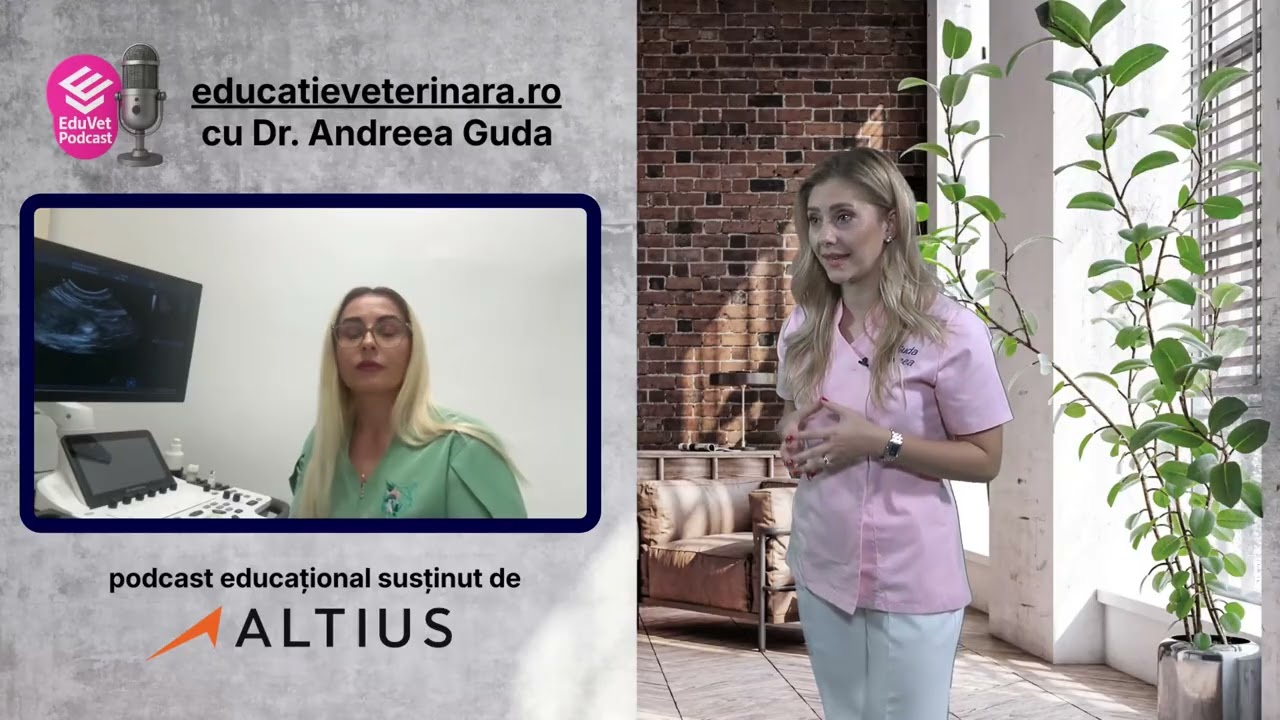 Ep. 4 · EduVet Podcast · Sindromul urinar felin: cum recunoști semnele și când e urgență