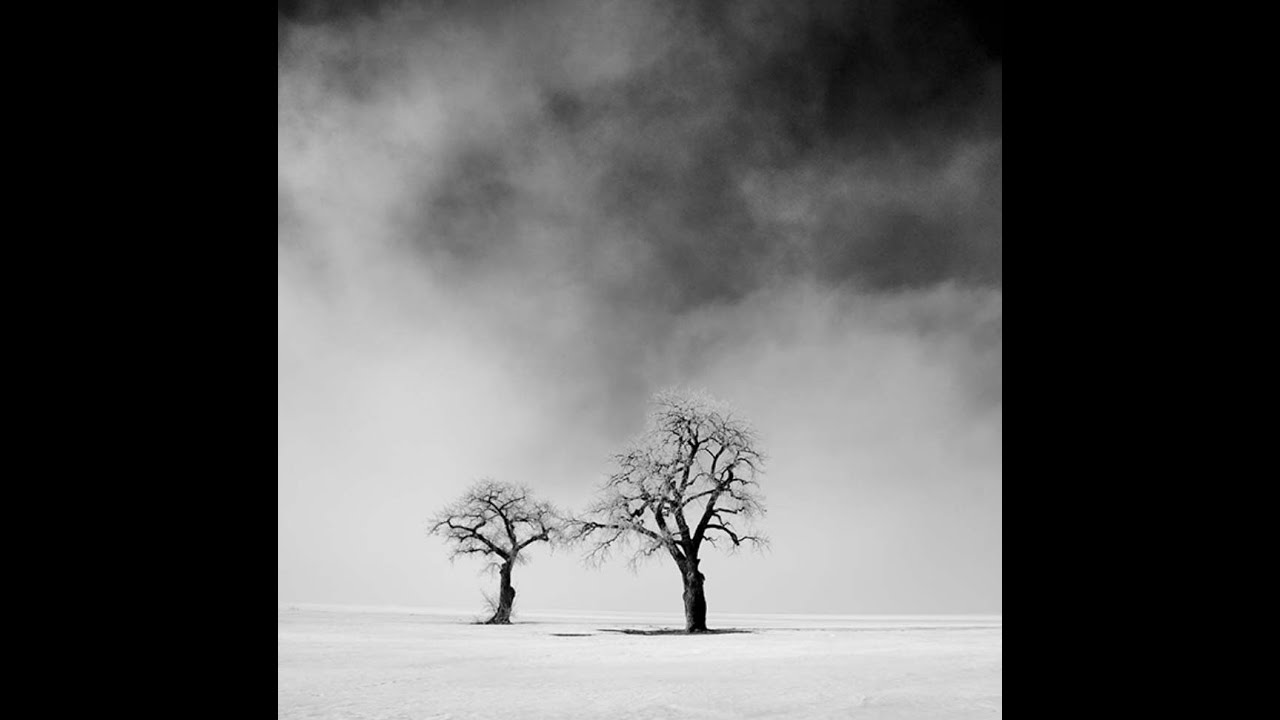 10-4-2021 Why Black and White?  Presented by Cole Thompson