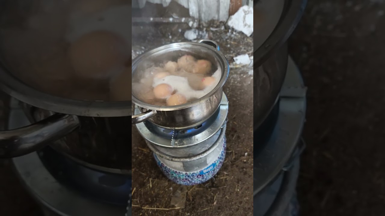 Видеоинструкция по подготовке к борьбе со вшами в марте очень важна; если вы этого не сделаете, в...