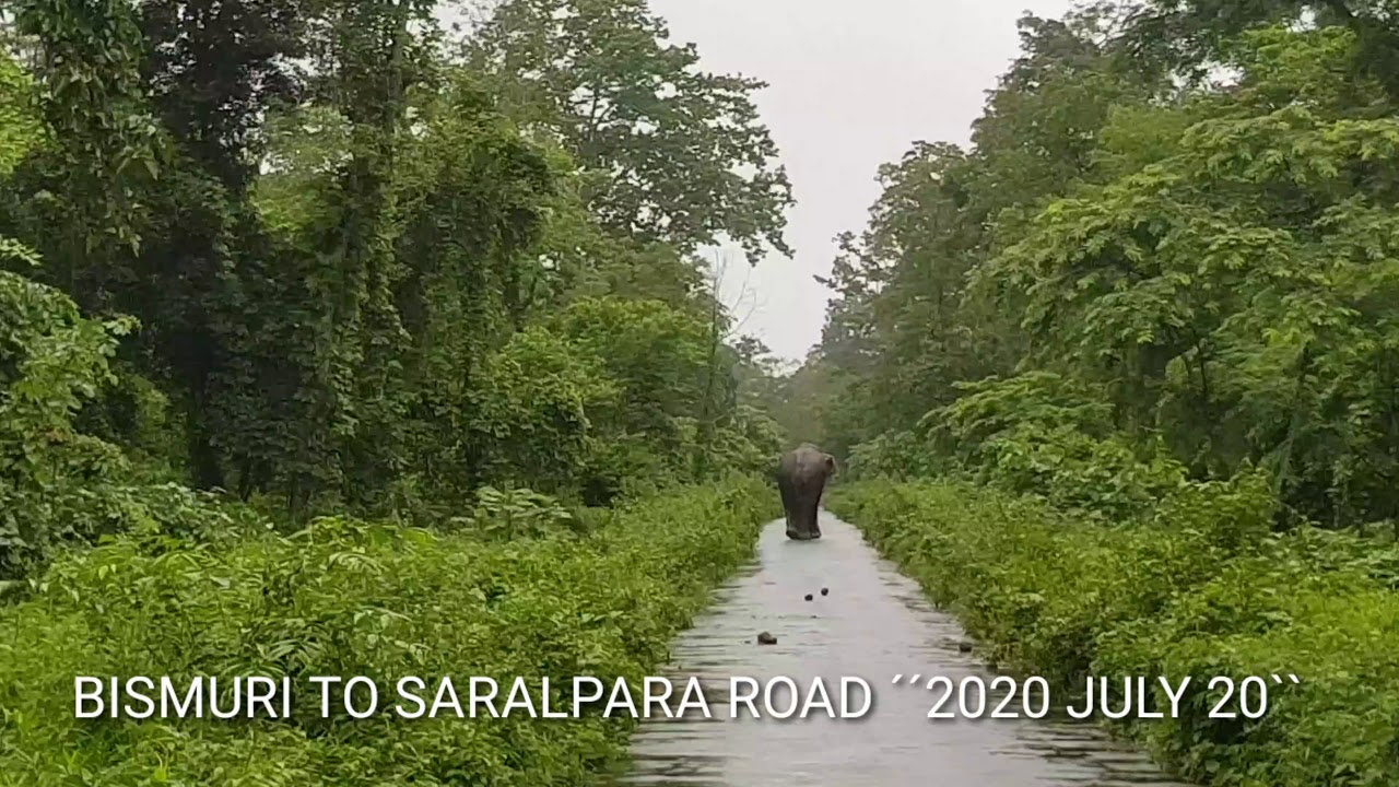 20 July 2020 Bismuri to Ultapani / Saralpara Jungle way
