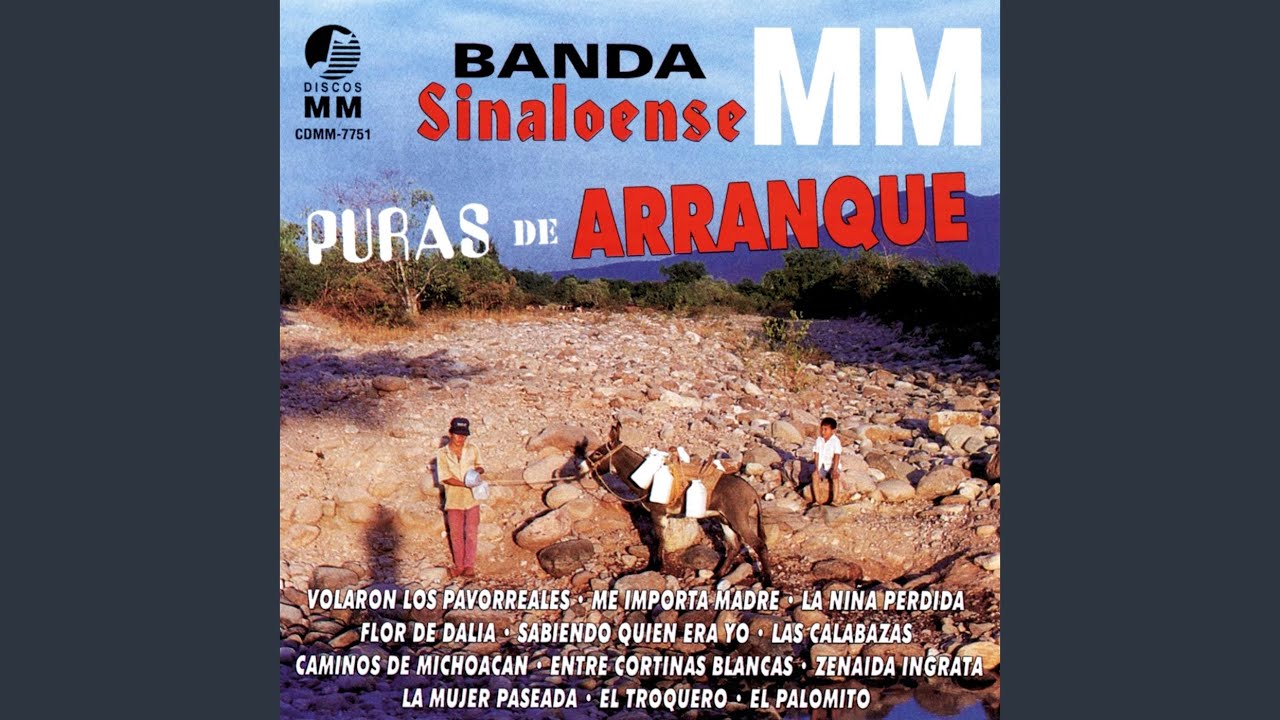 Caminos de Michoacán