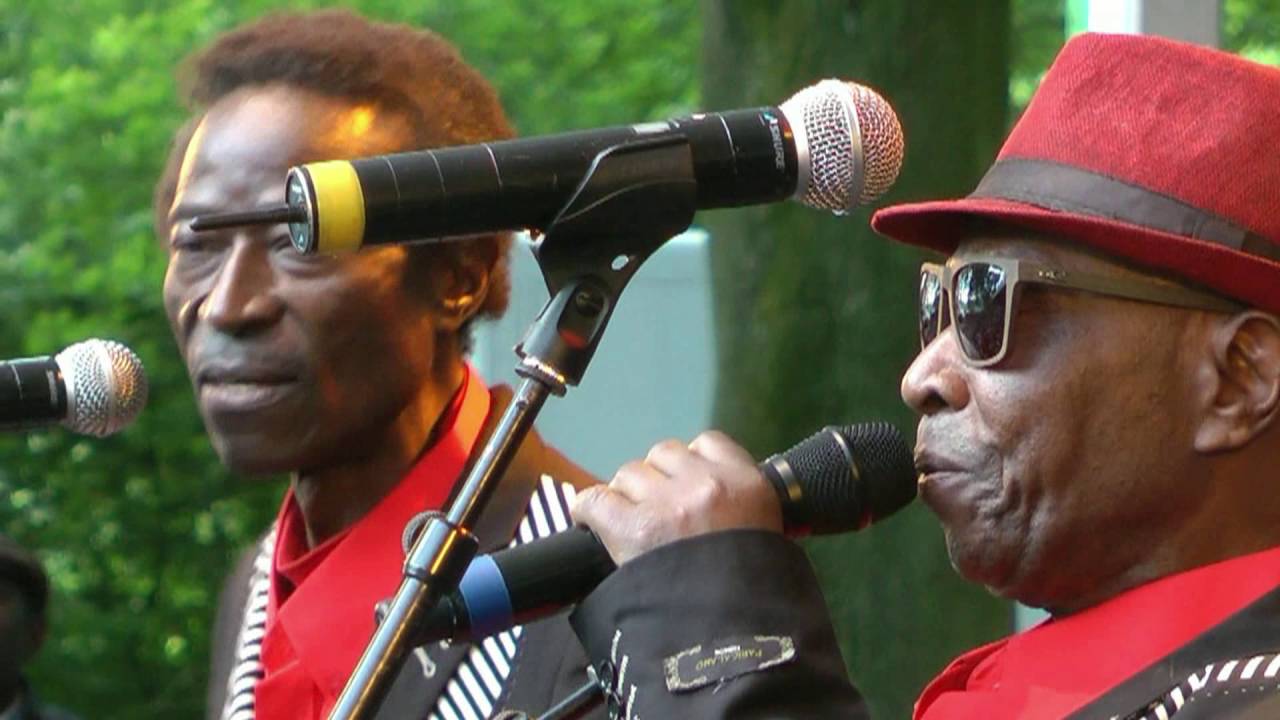 Orchestre Les Mangelepa - Kanemo - LIVE at Afrikafestival Hertme 2016