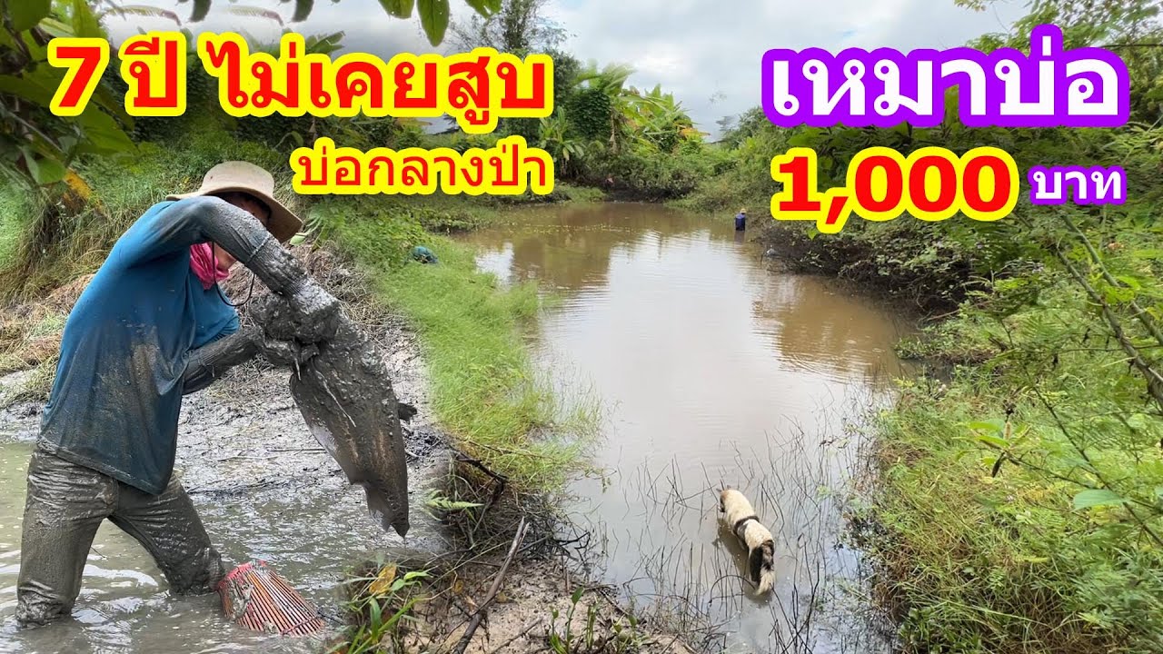 เหมาบ่อ 1,000บาท บ่อกลางป่า 7 ปีไม่เคยสูบ | Ep.113