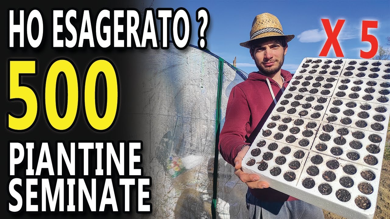 COME SEMINARE GLI ORTAGGI - PASSO PER PASSO