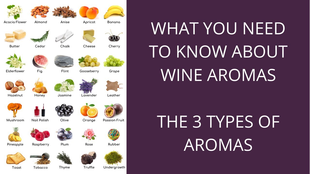 What you need to know about wine aromas: the 3 types of aromas