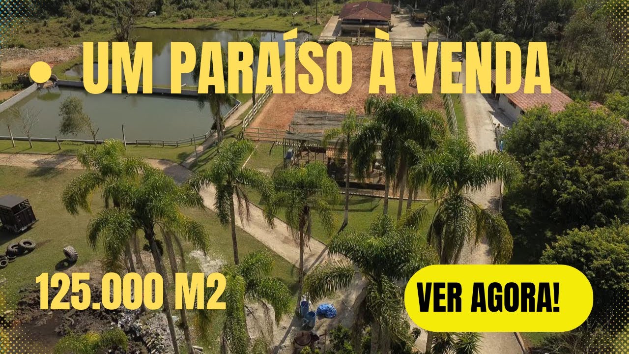 O Paraíso com 125.000 m2 em Mogi das Cruzes com lagos, tanque, piscina, pasto, baías, casas, aviário