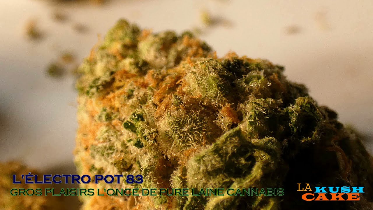 LOS ANGELES KUSH CAKE DE GROS PLAISIR L'ONCE DE PURE LAINE - L'&Eacute;LECTRO POT 83