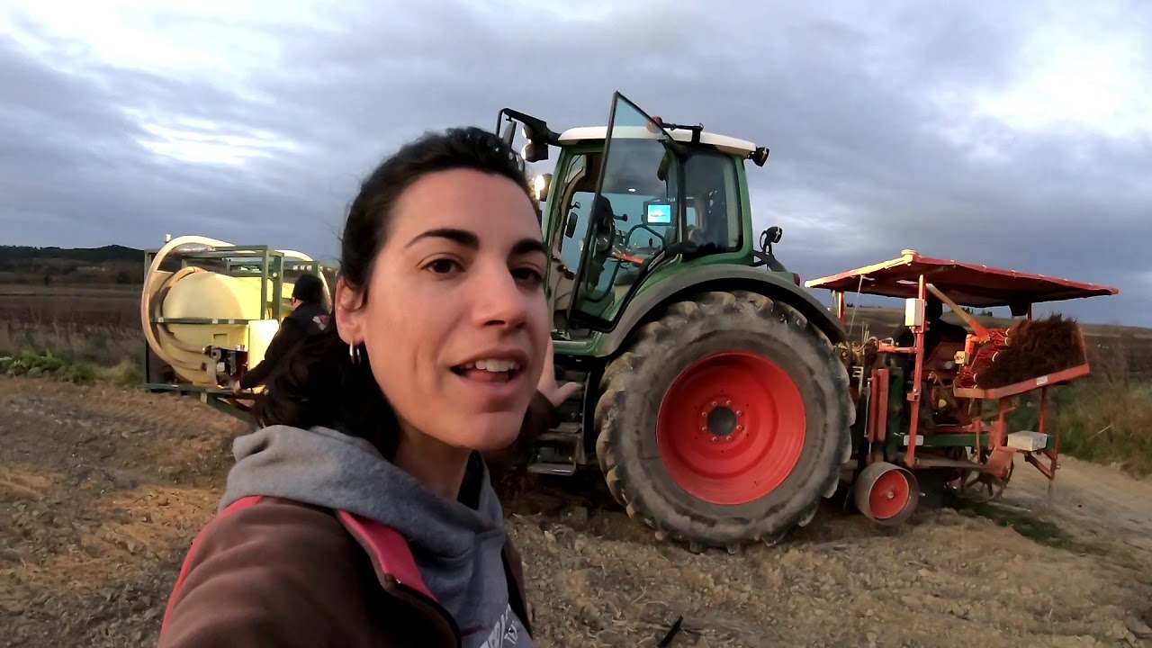 Plantation de la vigne 2020