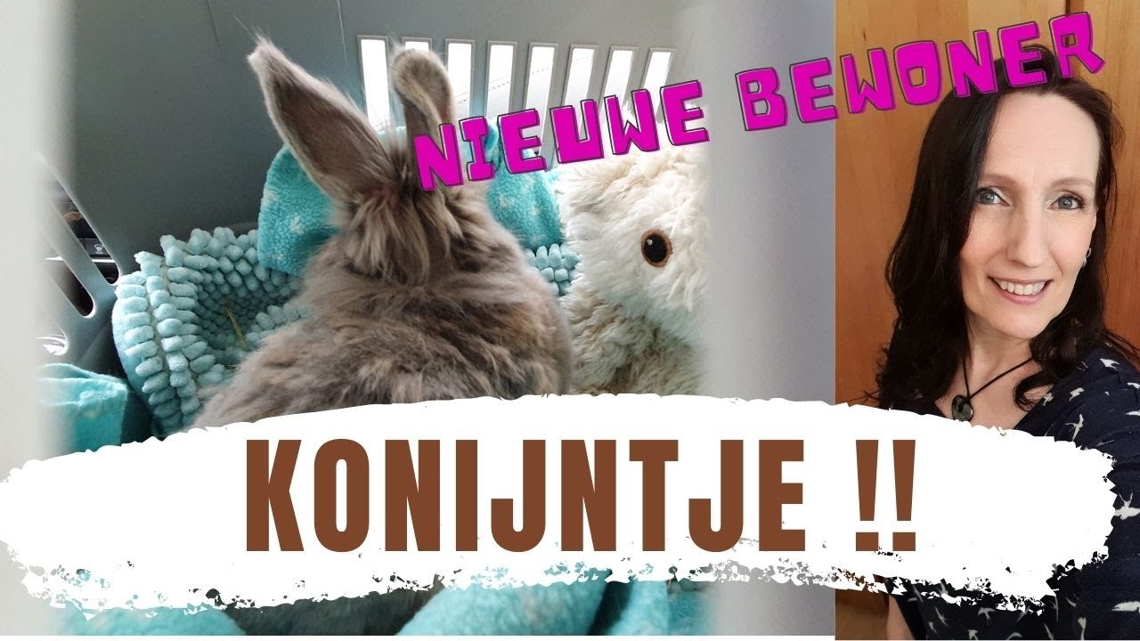 Ik heb een KONIJNTJE opgevangen!