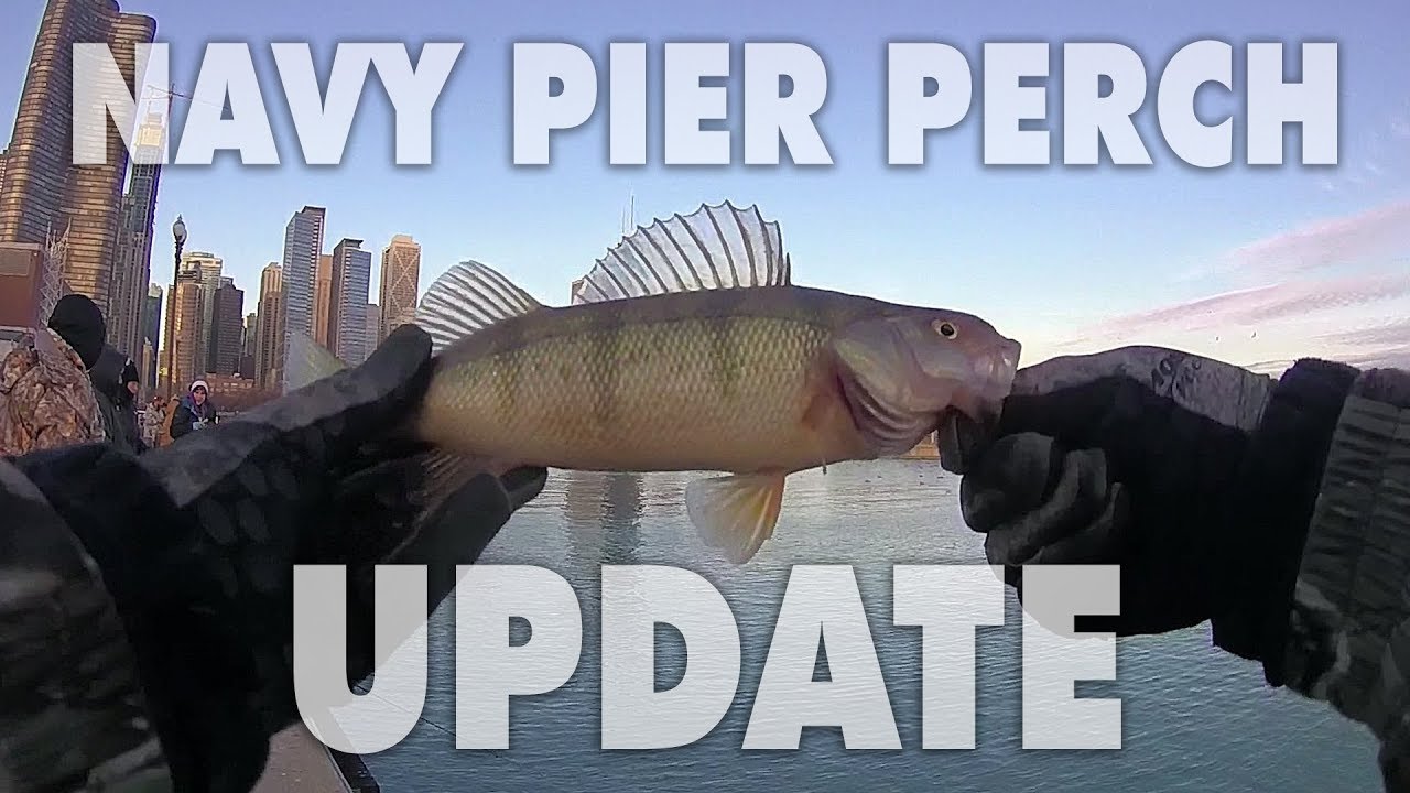 Chicago's Navy Pier Perch UPDATE!