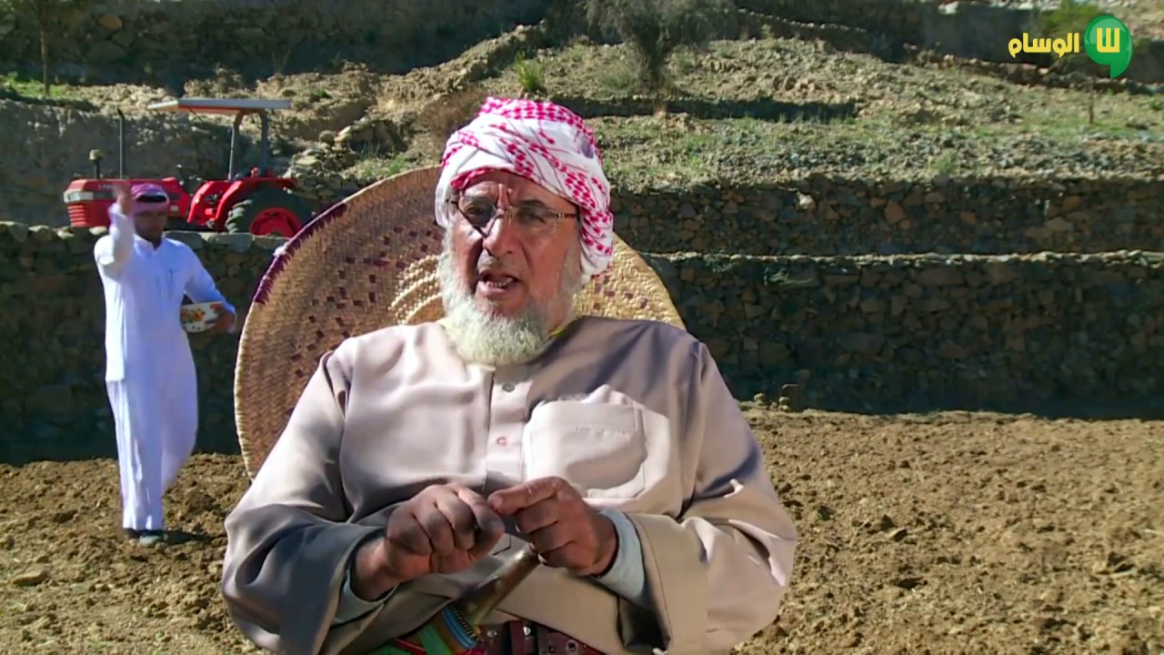 البر الأسمري من الزراعة الى الحصاد