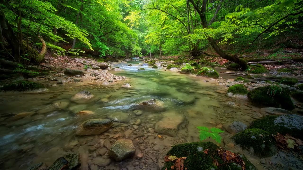 The STRESS MELTER: Instant Calm & Deep Peace 💧 Zen Waterfall Music for Anxiety Relief, Sleep, Study
