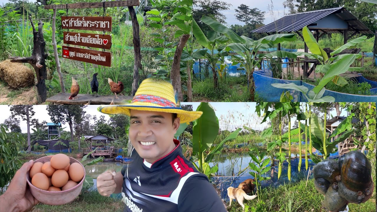สุดๆแล้ว!!เกษตรผสมผสาน..ทำแค่8เดือนเปลี่ยนชีวิต