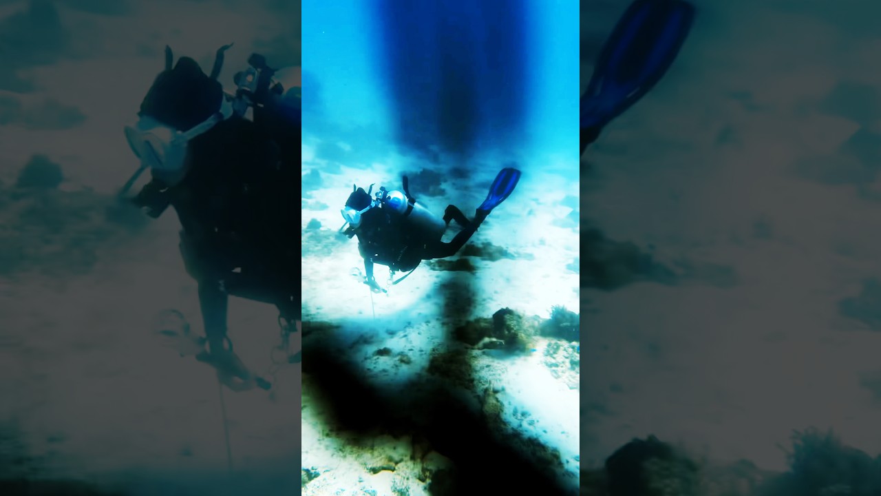 Drift Dive