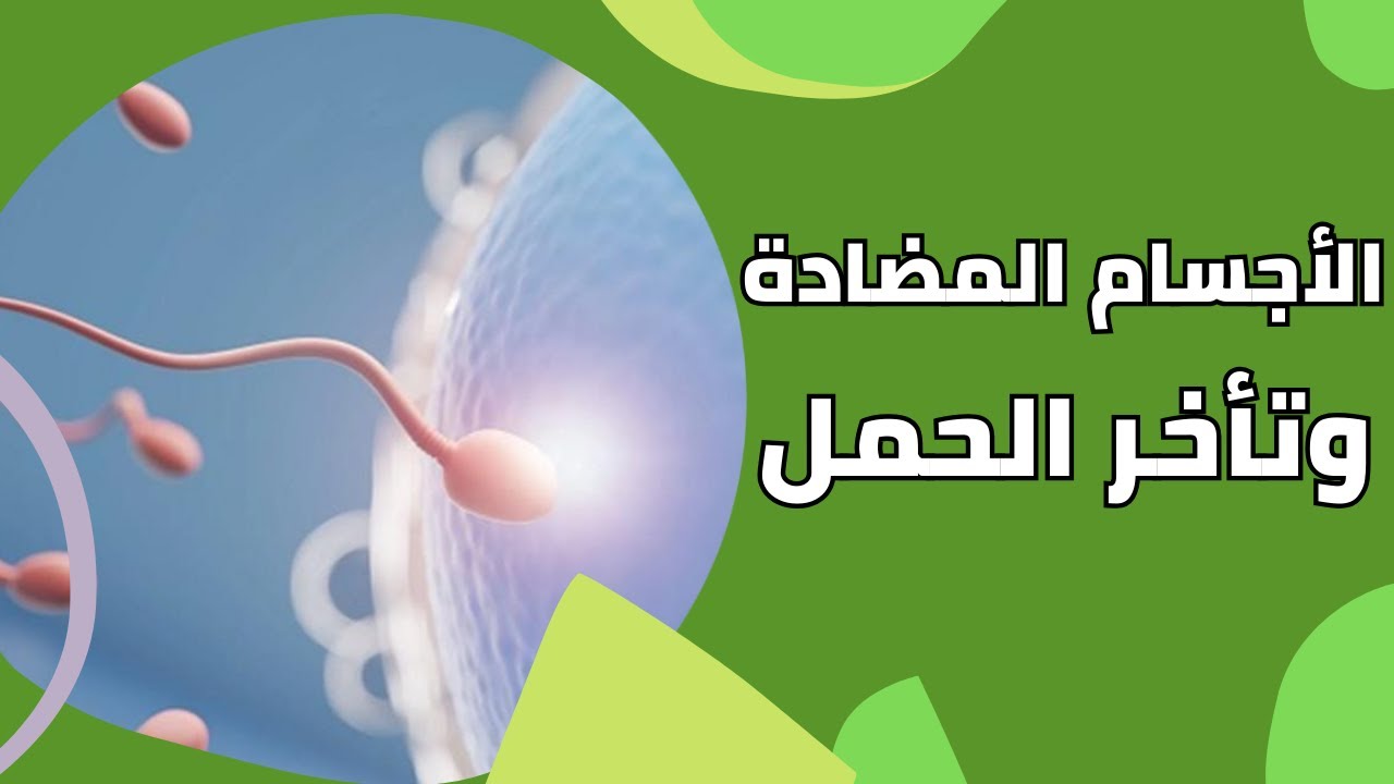 هل يوجد أجسام مضادة تهاجم الحيوانات المنوية وتكون سببًا في تأخر الحمل؟