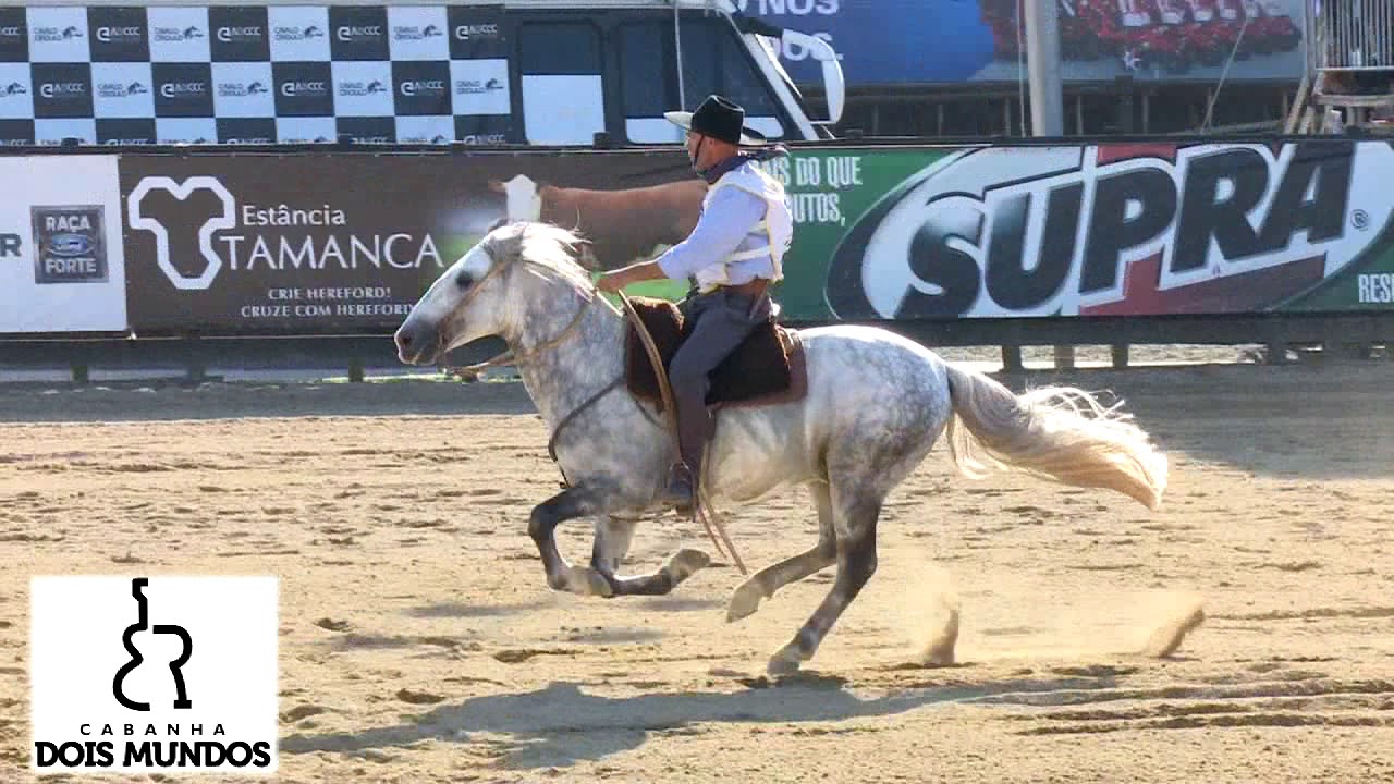 Madrugador 532 Da Reconquista no Freio de Ouro 2017