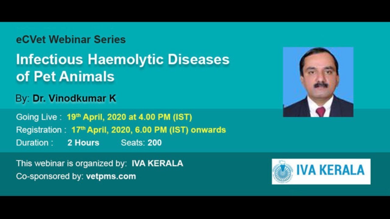 Infectious Haemolytic Diseases of Pet Animals