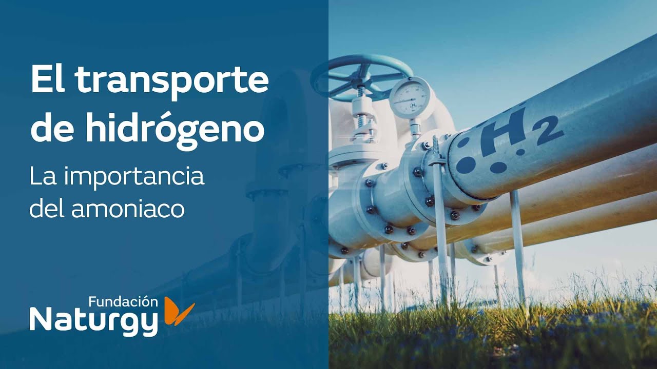 El transporte de hidrógeno: la importancia del amoniaco