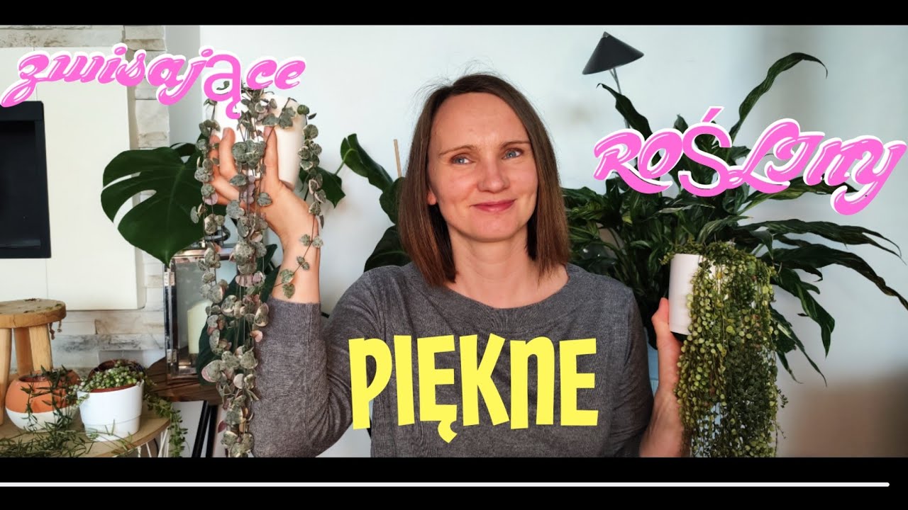 💚Piękne 💚drobnolistne rośliny zwisające 🌿