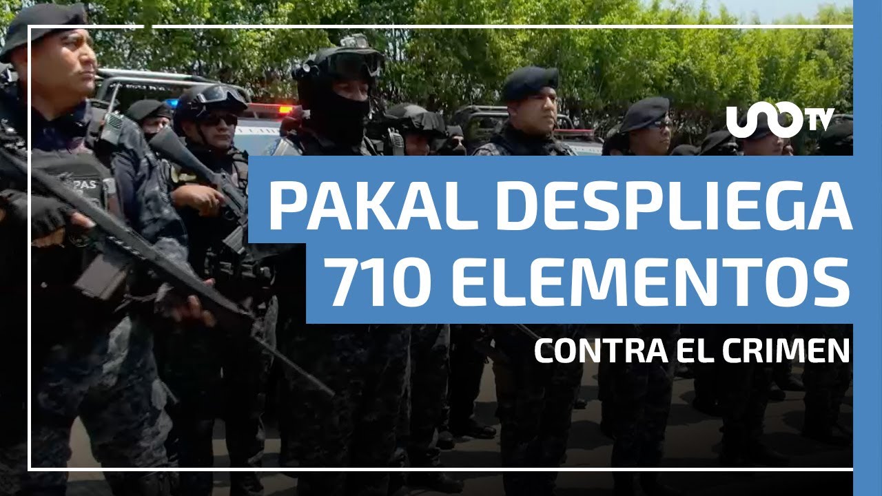 Fuerza Pakal despliega 710 elementos contra el crimen en Chiapas