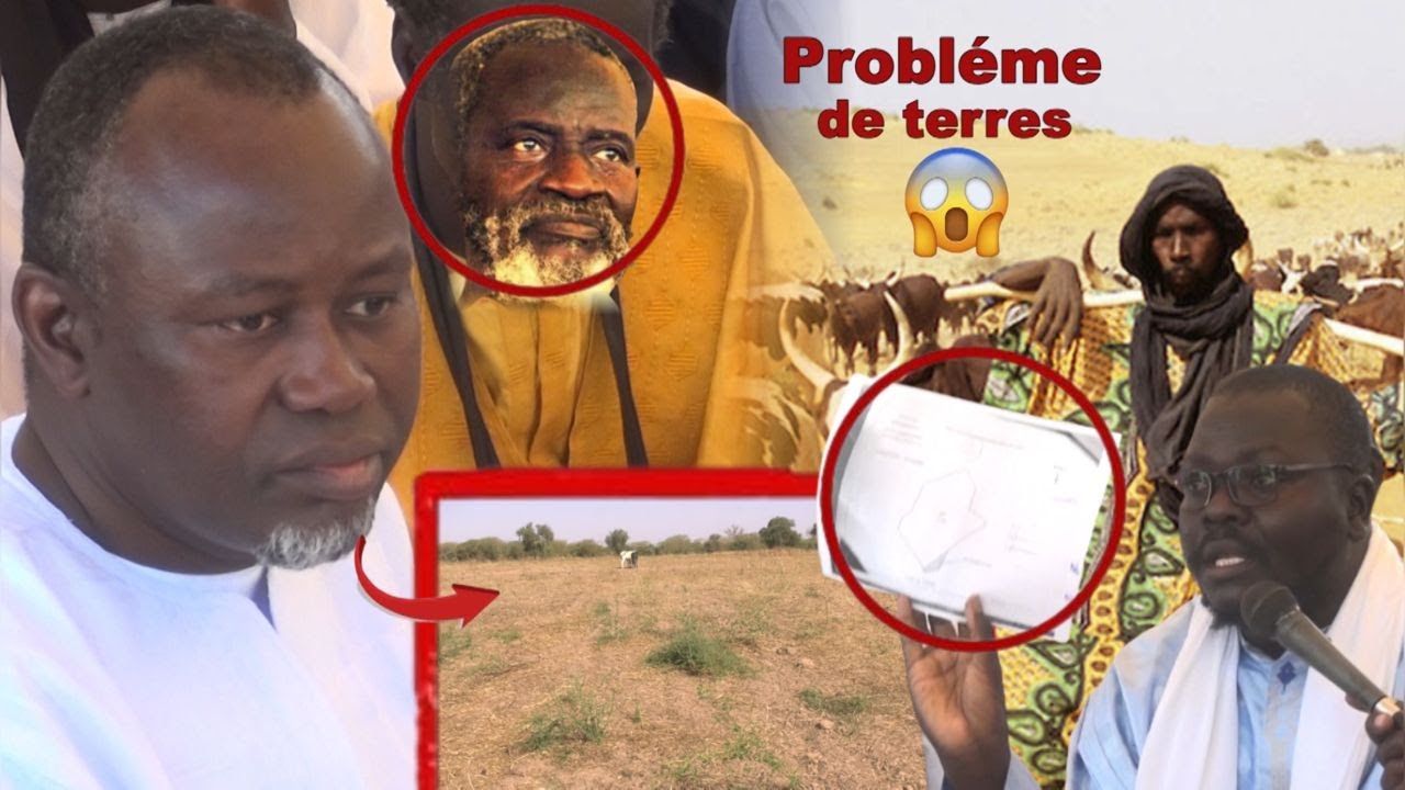 Urgent:Attaquent des Peuhls contre S.Abdou Lahad Mbacké😱sur les Terres de S.Saliou MBACKÉ…dinagn ko