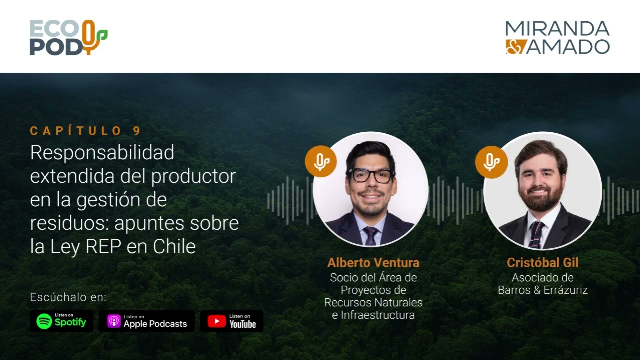 Responsabilidad extendida del productor en la gestión de residuos: apuntes sobre la Ley REP en Chile